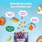 Thunderbirds Rise - 7 Mushroom and Ashwagandha Gummies UK
