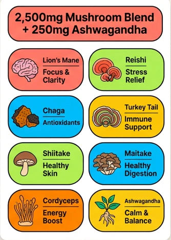 Illustrations of various mushrooms with their health benefits on a white background