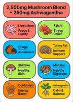 Illustrations of various mushrooms with their health benefits on a white background
