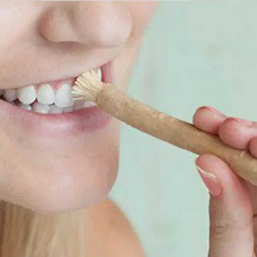 Person using a wooden miswak stick toothbrush to brush their teeth.